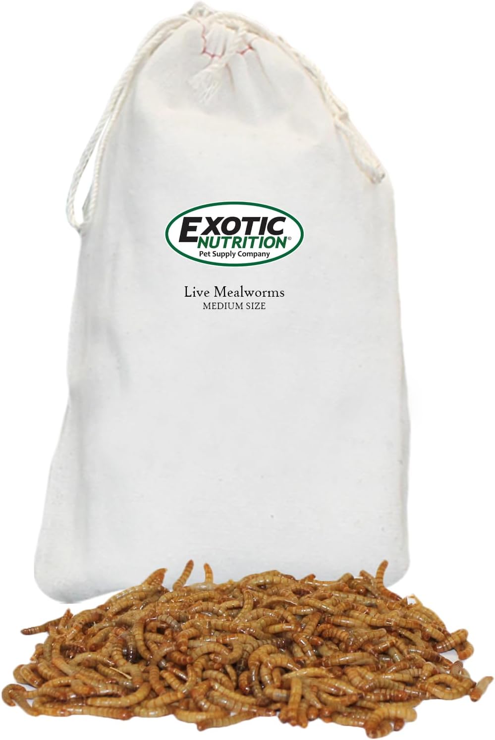 61K09CEkjHL._AC_SL1500_ Exotic Nutrition Medium Live Mealworms (1/2") (3,000 Pack) - Image 1